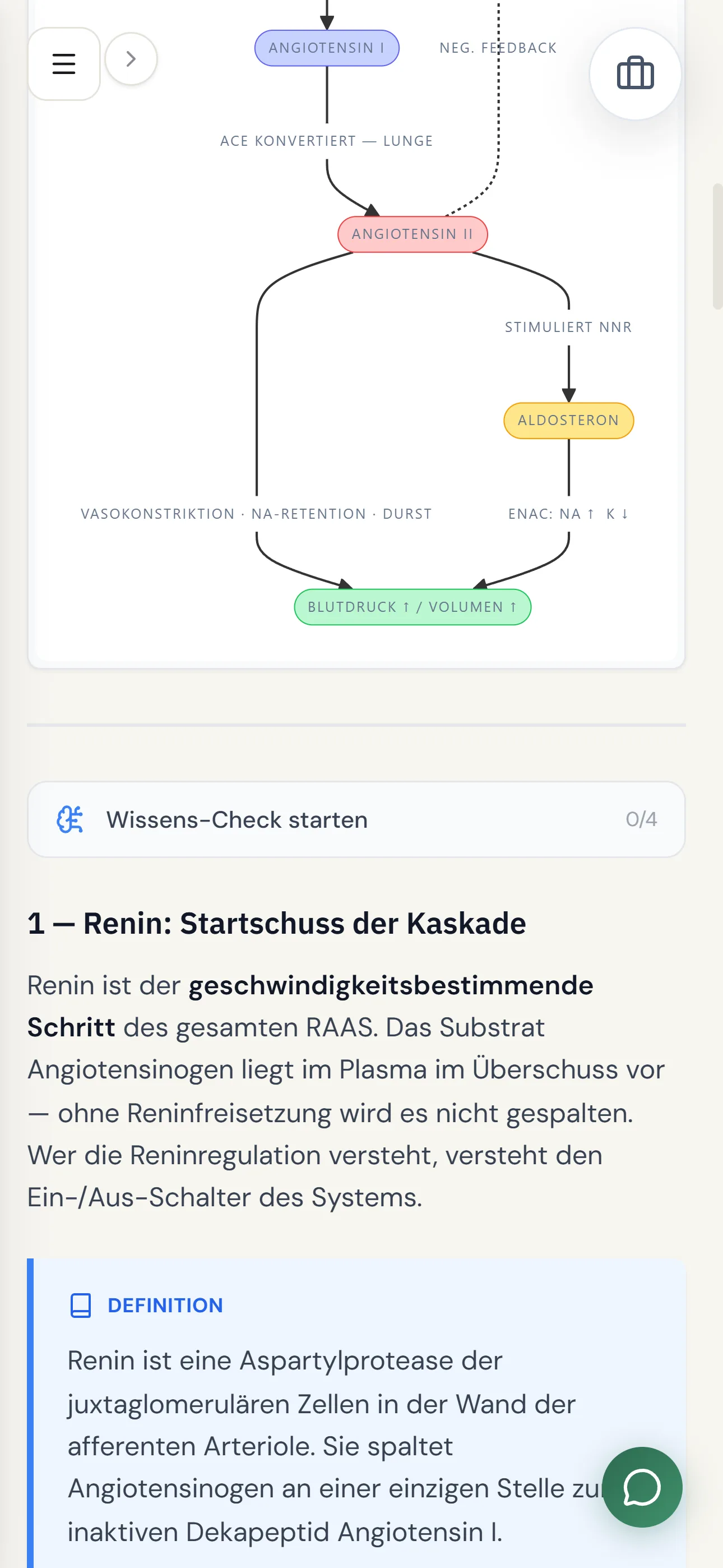 Studybroker App im Light Mode